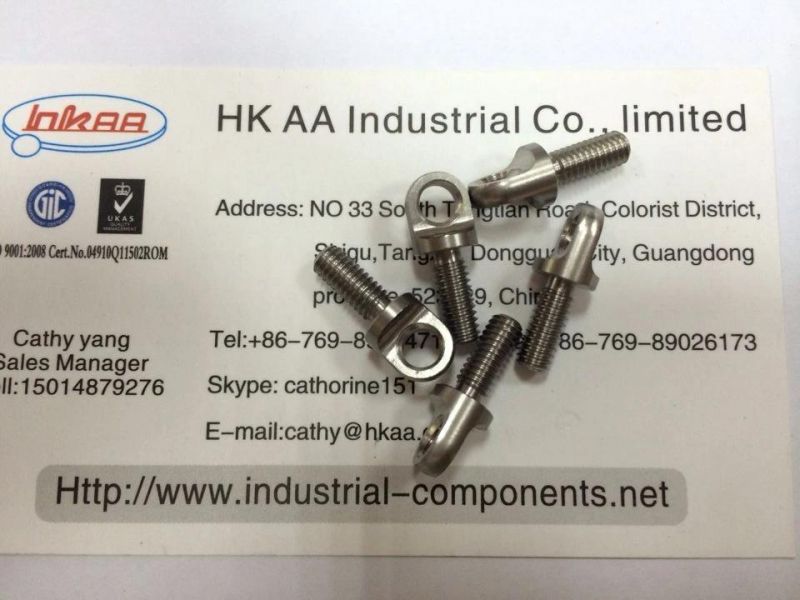 Precision CNC Machining Turning Stainless Steel Titanium Screw Fastener