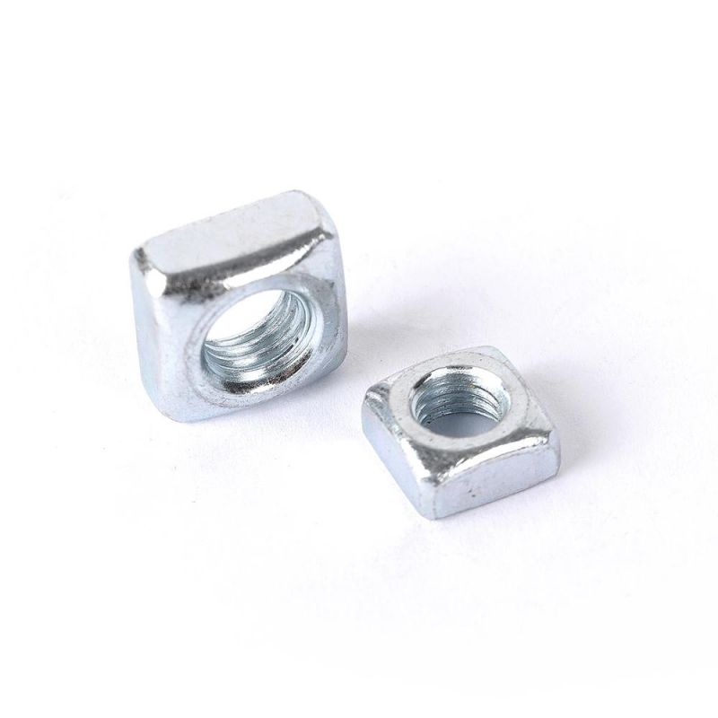 Stainless Steel SS304/316 Square Nut/Hex Nut/Flange Nut/Heavy Hex Nut/Hex Cap Nut/Round Nut/Slotted Nut/Lock Nut