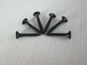 Black Drywall Screws Nail with 1022 Carbon Steel