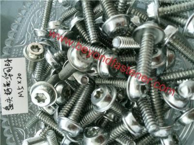 Torx Screw /Pan Head Screw /Thread B /Self Tapping Screw