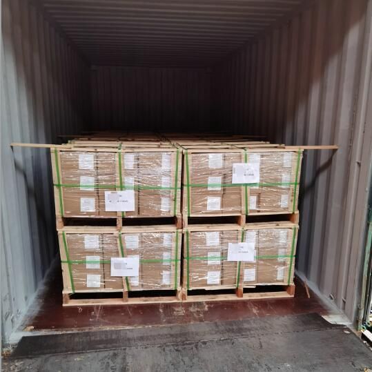 Custom High Quality 4.6 Grade Flange Bolt with Flange Nut M6 M7 M8 M10 M12 M16 DIN 6921 Stainless Steel Heavy Duty Hex Flange Serrated Bolt
