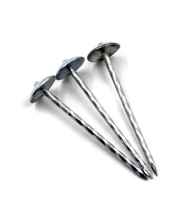 Screw Shank Galvanized Umbrella Roofing Nail