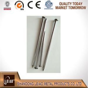 Q195 1&quot; to 6&prime; &prime; Common Round Iron Wire Nail