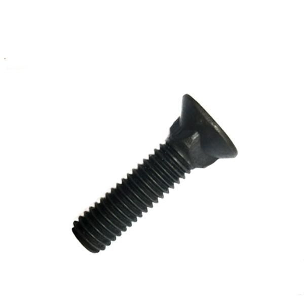 DIN605 Flat Countersunk Head Square Neck Bolts with Long Square Plow Bolts