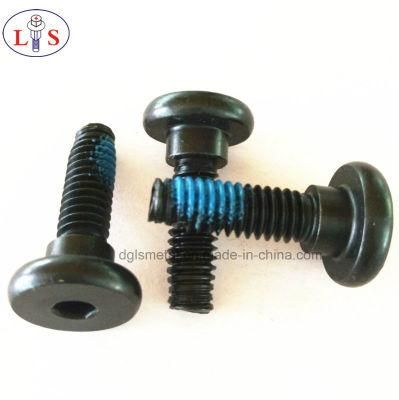 Flat Head Hexagonal Socket Step Hex Bolt with Nylok