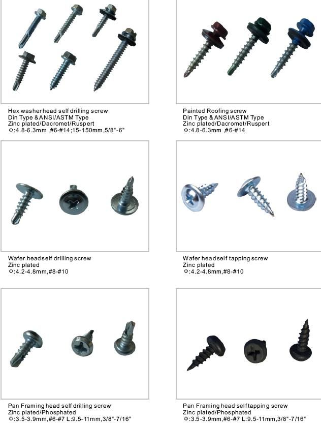 Drywall Screw, Good Quality Drywall Screw with Sharp / Tek Point
