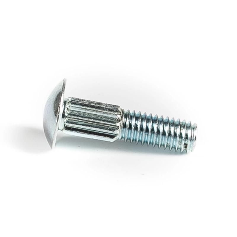 China Stainless Steel Carriage Bolt (SS304 SS316)