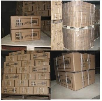 Wooden Pallet Industry Coil Nails with High Quality Low Price Better Service