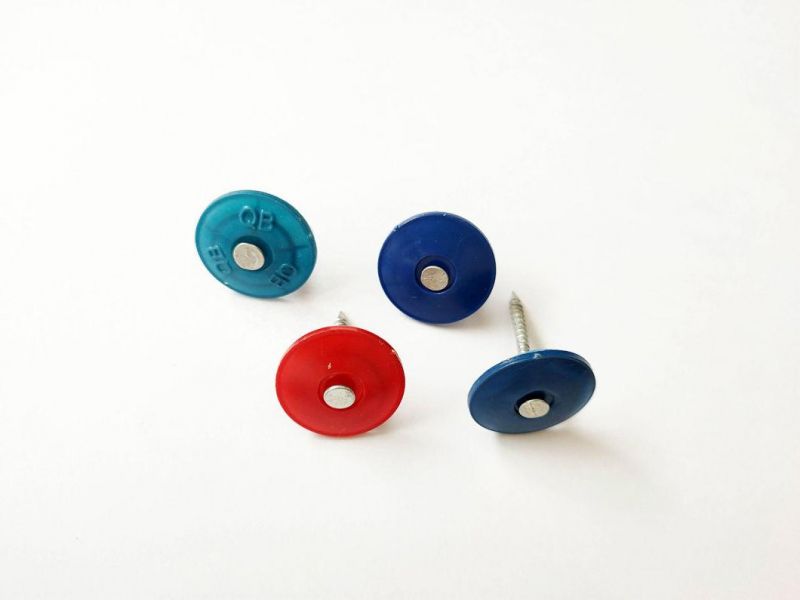 High Quality Wholesale Plastic Cap Nail for Building