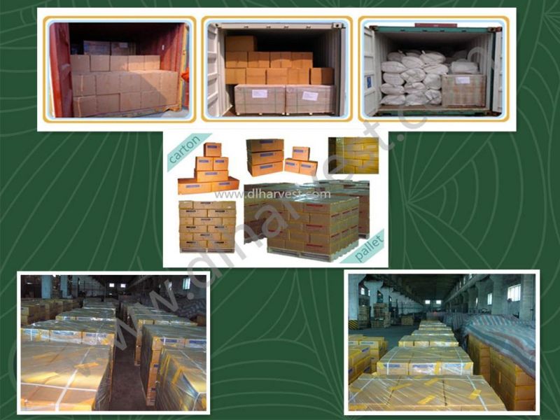 Efractory Anchor Insulating Anchor High Temperature Fixing Anchor V Anchor Y Anchor