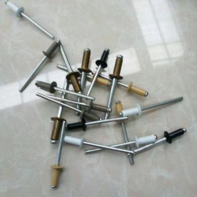 Aluminium Steel Material Natural or Brown Painted Head Blind Rivet Nail 4.8&prime; &prime; Hardware