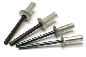 Auto Spare Parts Hardware Button Head Rivet