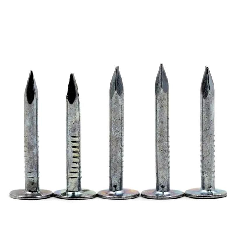 High Quality Gi Clout Nail Roofing Nail of Guangzhou Supplier