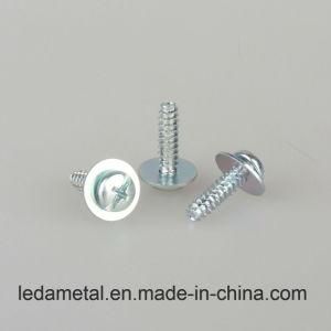 Stainless Steel Phillips Pan Washer Head Sems Self Tapping Screw