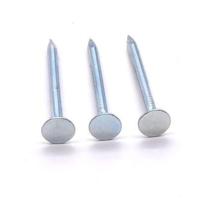 China Nails Factory Top Quality Clout Head Zinc Plated Cupper Nails