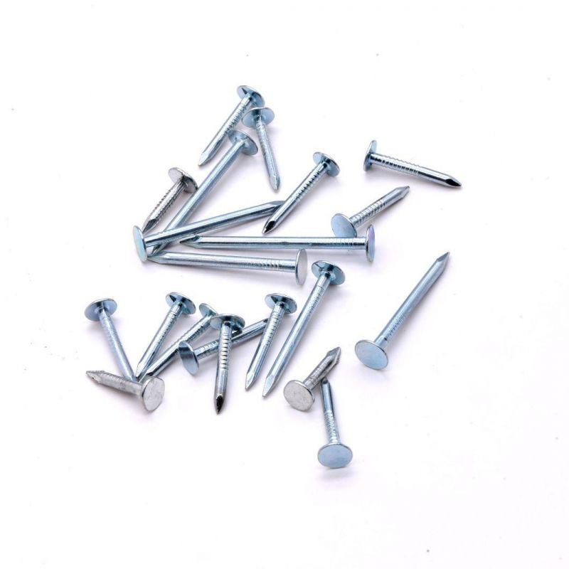 Clout Nails Ceiling Nails Galvanized Cupper Nails