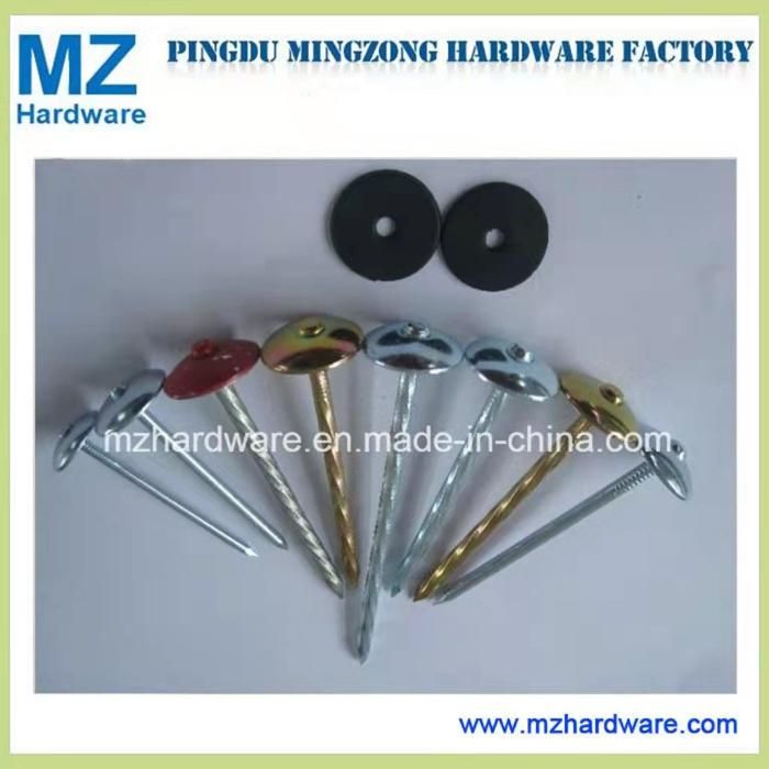 Umbrella Head Nail Galvanized Roofing Nail for Tanzania