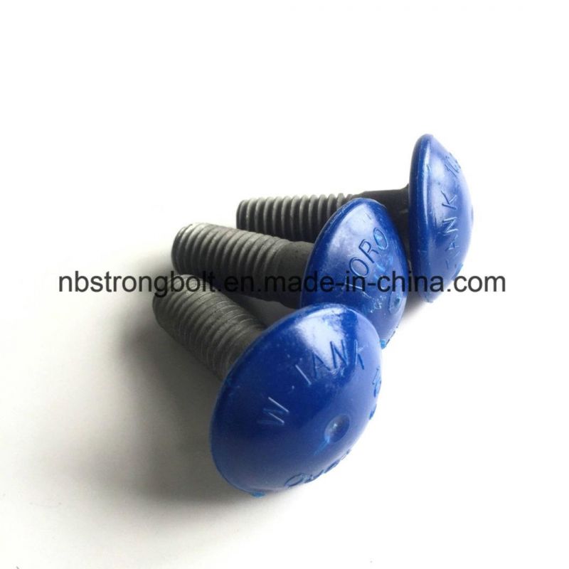 Plastic Coated Round Head Screw