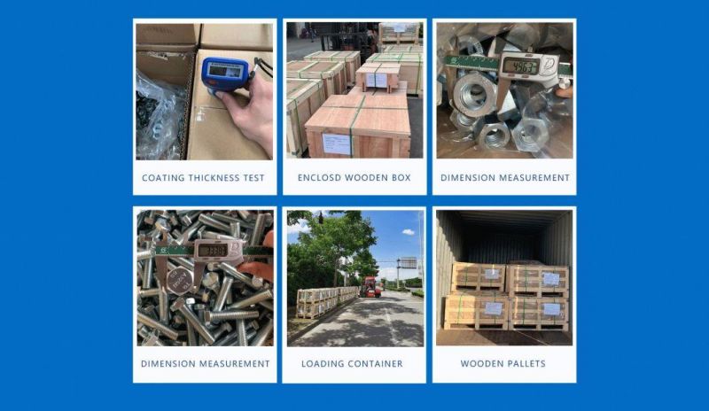 Stainless Steel Hex Bolt/Carriage Bolt/Anchor Bolt/Flange Bolt/T Bolt/Square Head Bolt/Hex Socket Cap Screw/Square Bolt/Wing Bolt/Eye Bolt/Knurled Bolt/U Bolt