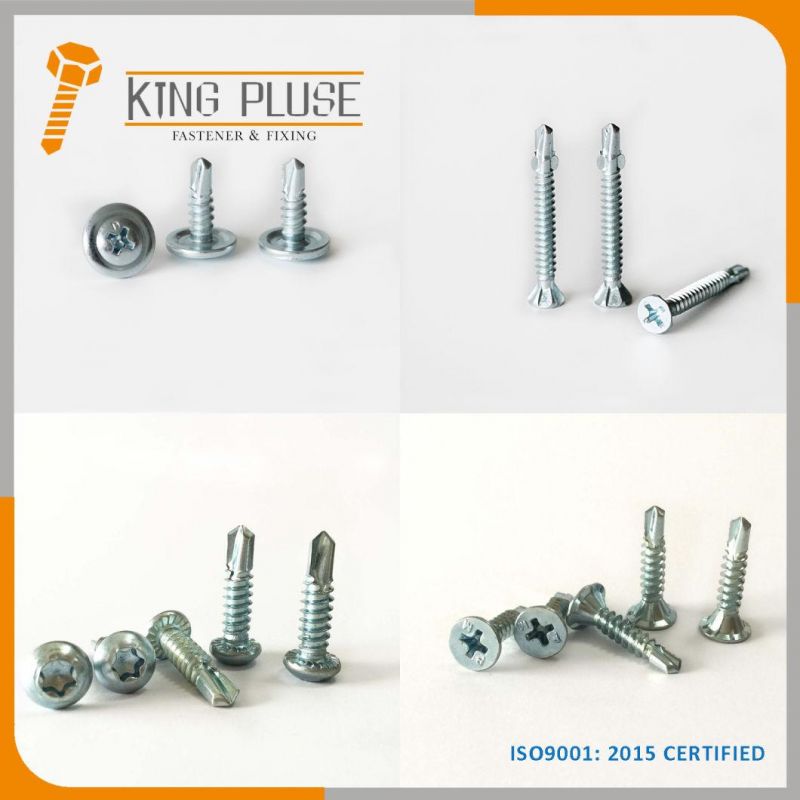 Phil / Cross Recessed/ Combination/ Flat Head / Pan Head/ Wafer Head/Truss Head/ Tapping Screw Drilling Screw Machine Screw/ Steel/ Stainless Steel