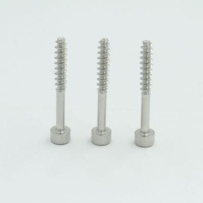 Custom Hexagon Socket Countersunk Cup Head Self Tapping Screws