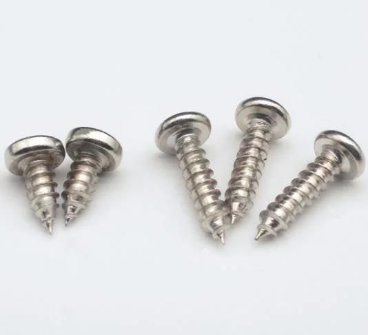 Stainless Steel Hexagonal/Flat/Wafer/Pan Framing Head Self Tapping Screw