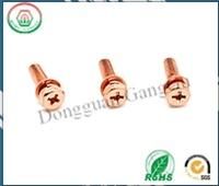Screw Manufacture Provide Plastic Screw / Screws and Fasteners