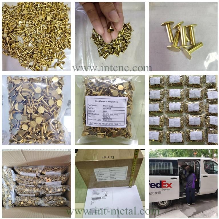 OEM Rivet Factory Steel Copper Aluminum Brass Rivets