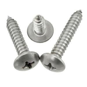 Truss Head Stainless Steel Machine Screw/Truss Head Self Drilling Screw