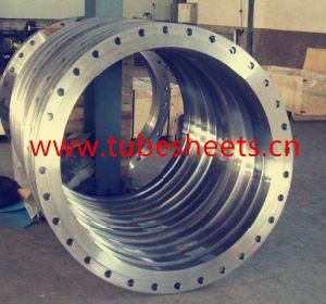 Thread Flanges, OEM Wind Power Flange, Carbon Steel Flange