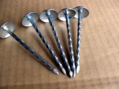 China Factory Umbrella Head Nails Roofing Nails Corrugated Nails Galvanized Twisted Shank