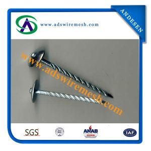 Hot Sale Good Quality Roofing Nail (ADS-RN-04)