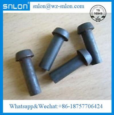 Flat Taper Head Rivet for Auto Parts