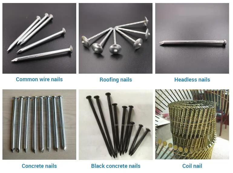 Clavos, Roofing Nail, Roofing Nails China Factory
