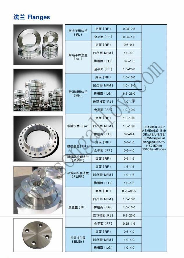 Forged Stainless Steel Flange