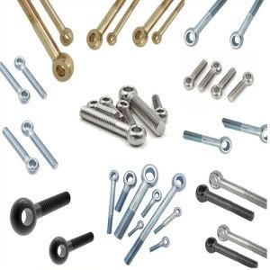 Hot Forging Stainless Steel Lifting Eye Bolt DIN 444