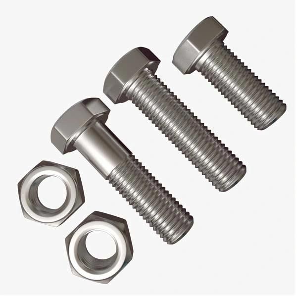 Stainless Steel A2 A4 316L Hex Bolt with Hex Nut