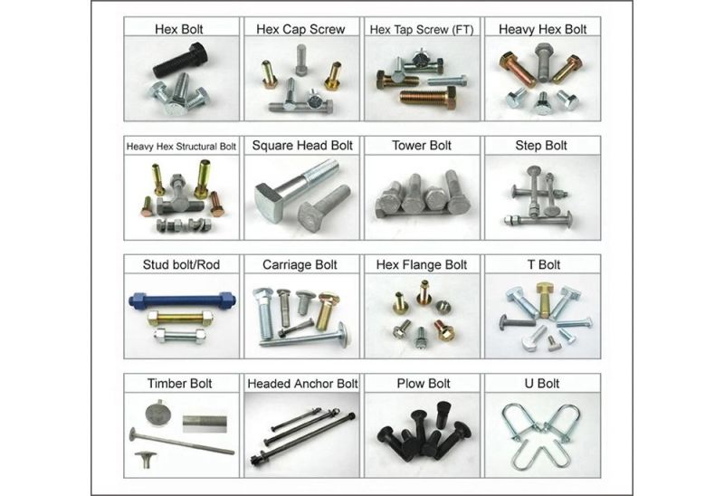 Carbon Steel Hex Bolt 8.8 Concrete Bolt Screws Hex Head Bolt/U Bolt/Flange Bolt/Carriage Bolt Made in China