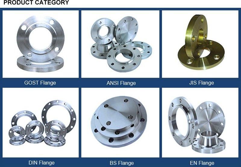 Chinese Factory Forged Flanges Alloy/Carbon Steel /Stainless Steel Flange