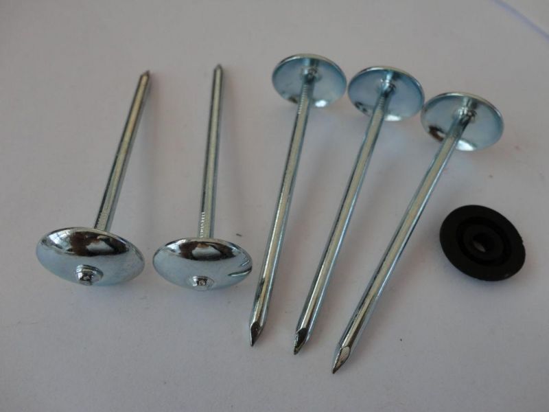 Roofing Nail with Umbrella Head in Electro Galvanized/ 4.5X75 4.5X90/Thread Rolling/Roofing Nail