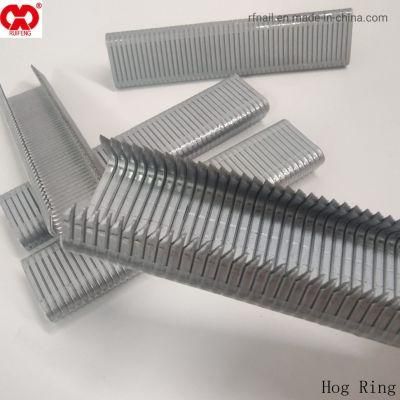 Pneumatic Gun Nails Direct Manufacturer in Anhui Galvanized D Style Hog Ring Collated Nails.