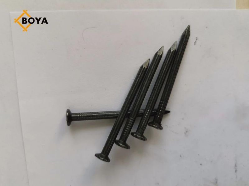Manufacturer Concrete Nails with Oil