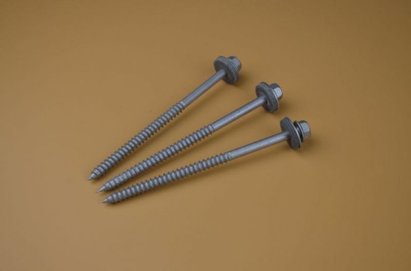 Long Roofing Screw /Self Drilling Screw SS304 Screw/Bi-Metal Screw