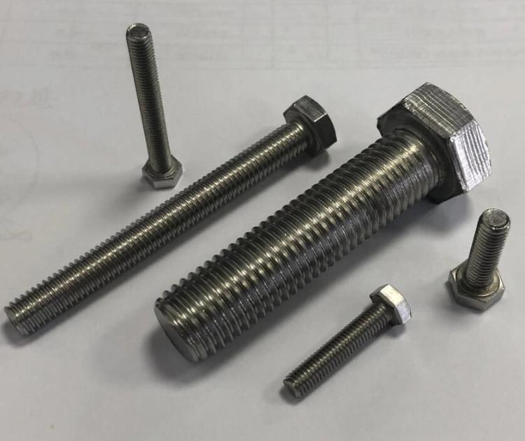 Stainless Steel SS304 Hex Head Bolt Cap Screws