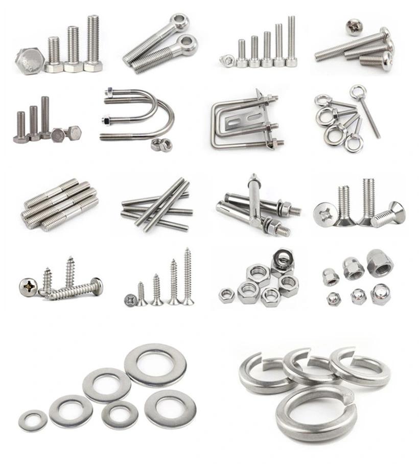 Stainless Steel AISI304 DIN580 Lifting Metric A2 Eye Bolts
