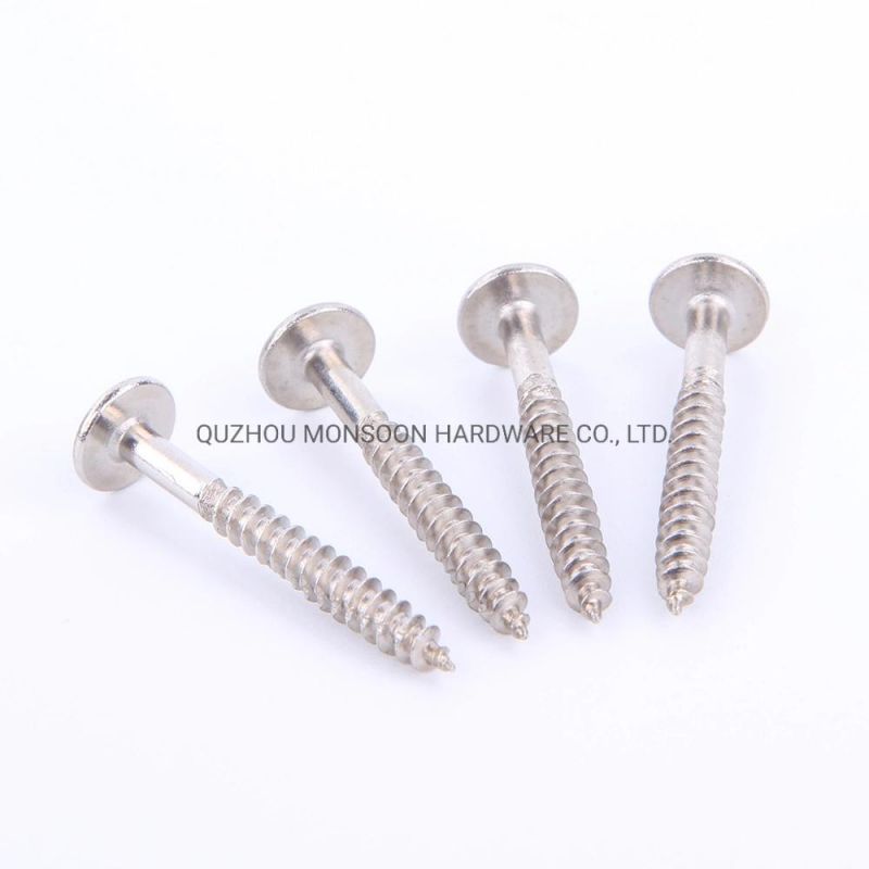 Stainless Steel Self-Tapping Screws