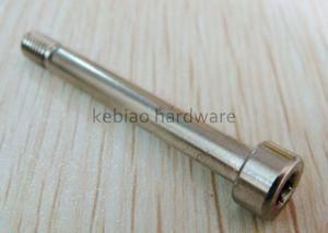 Stainless Steel Special Socket Head Screw (KB-272)