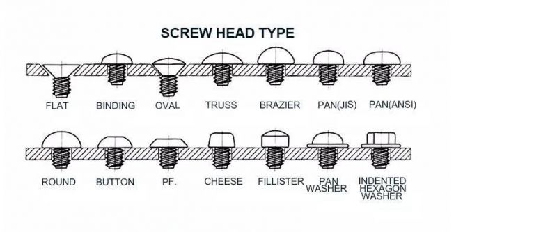 High Quality Fine Thread Drywall Screw Bugle Phillips Bugle Head Drywall Screws