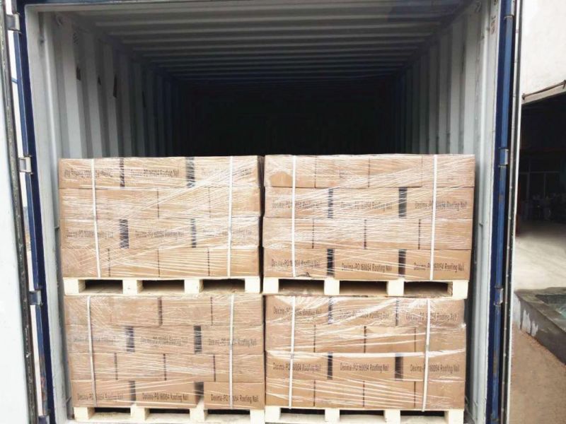 Galvanized Roofing Nail Umbrella Head Roofing Nail Factory