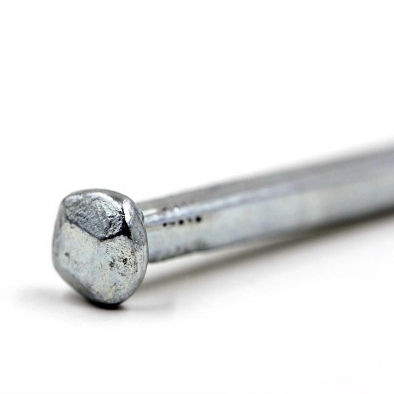 Factory Direct Sale Square Boat Nail with Good Quality